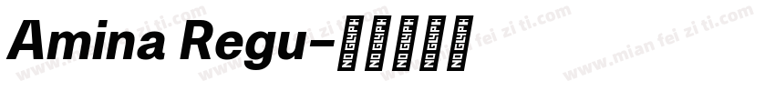 Amina Regu字体转换